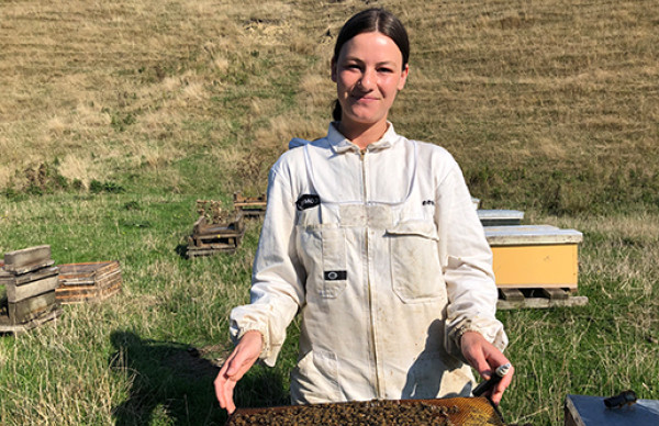 Apiculture NZA profile 516 x 340 2