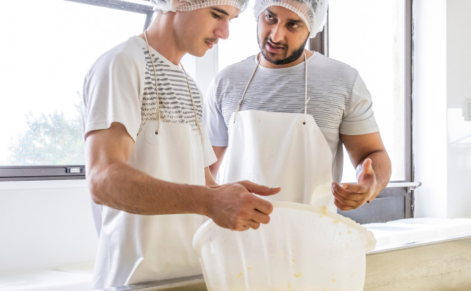 Dairy Processing