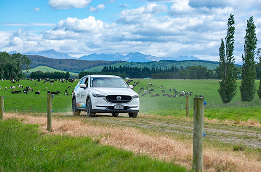 A Primary ITO vehicle visiting a dairy farm in New Zealand A Primary ITO vehicle visiting a dairy farm in New Zealand