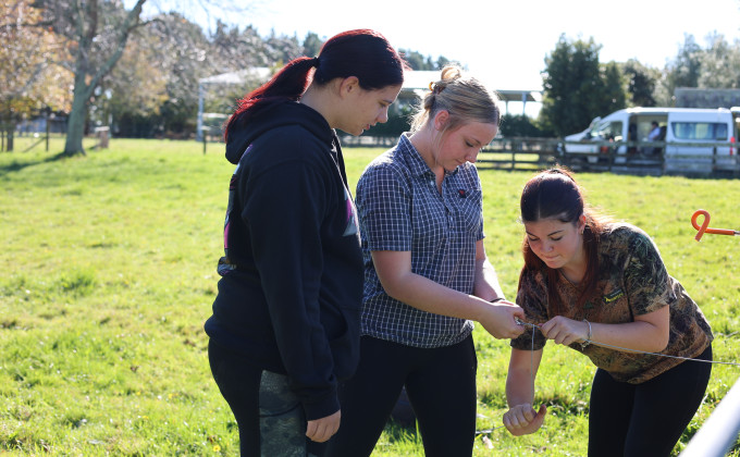 Horowhenua Article