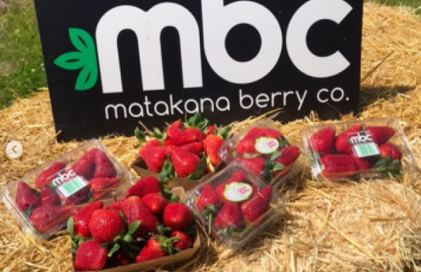 Matakana Berry brand.jpg