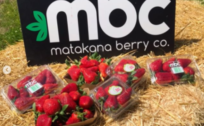 Matakana Berry brand.jpg