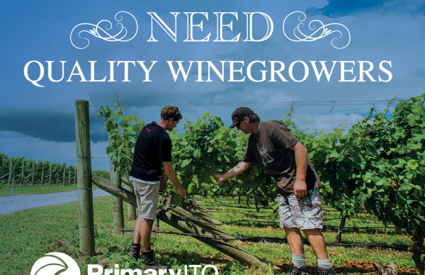 PITO winegrowing website image 300 x 270 pxls2