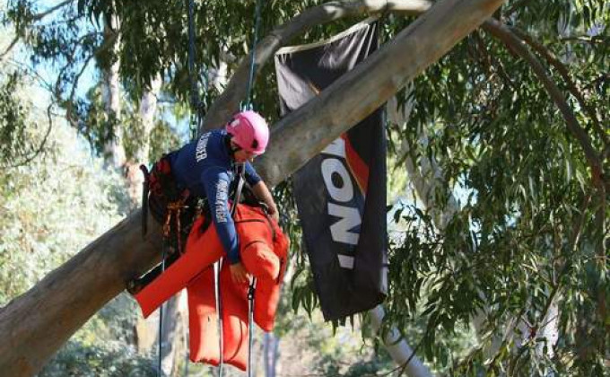 Samantha Baker tree climbing 1 thumb