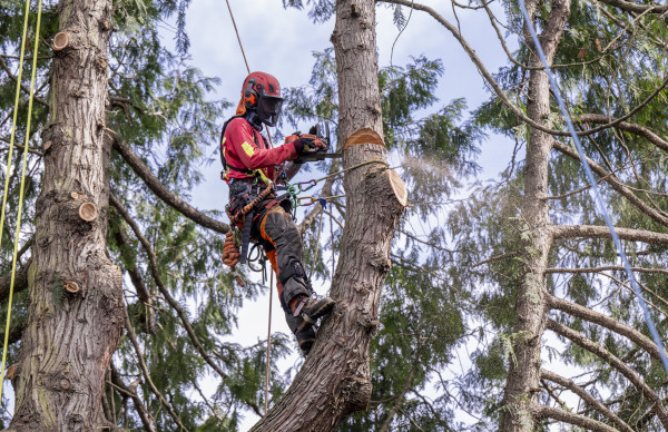 Arb 2   Supervisory