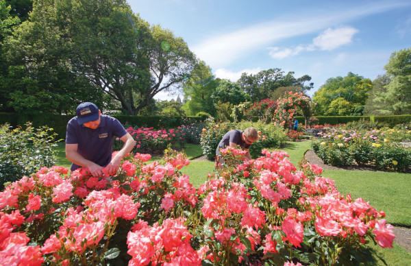 CHCH Botanical Gardens   Amenity