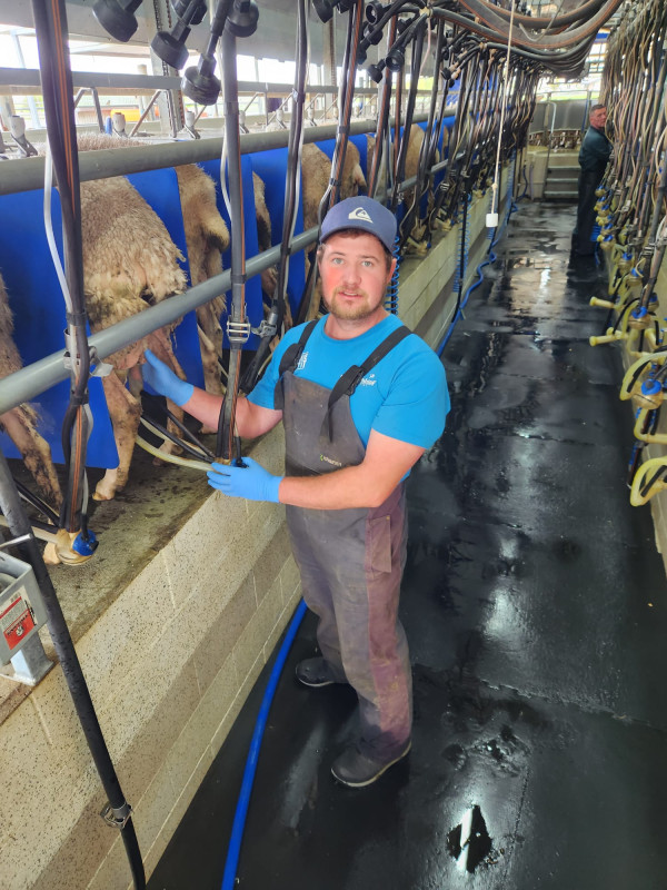 Managing Milk Harvesting programme for dairy goat and sheep milking ...